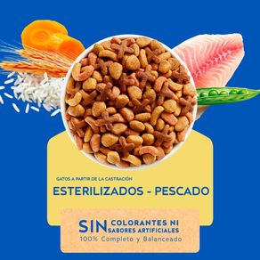 Alimento-para-Gatos-Esterilizados-Bolsa-1-kg-2-171681684.jpg