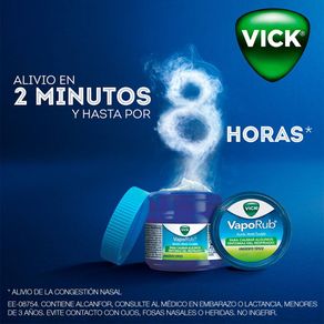 VICK-VAPORUB-X-100-GR-VICK-VAPORUB-X-100-2-29446.jpg